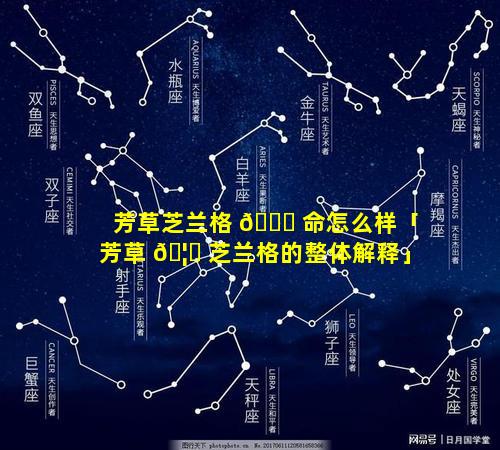 芳草芝兰格 🕊 命怎么样「芳草 🦈 芝兰格的整体解释」